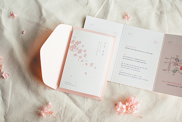 Cherry Blossom [핑크박]